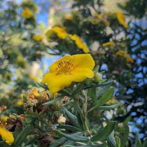 Meet your Posher, Juliana